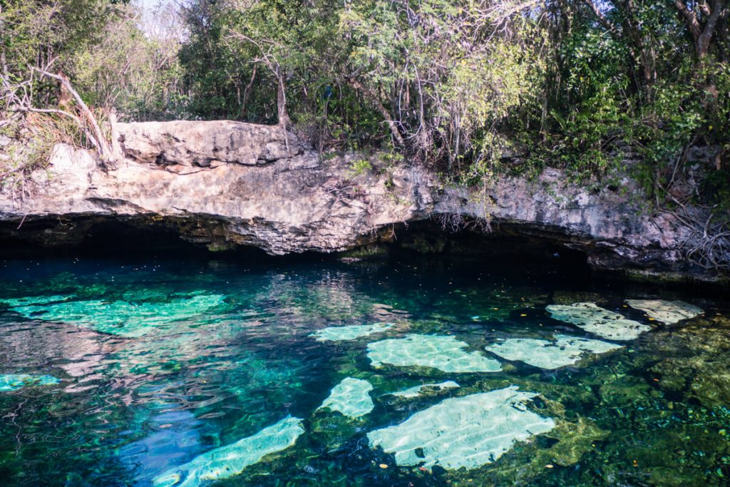 cenote tour playa del carmen