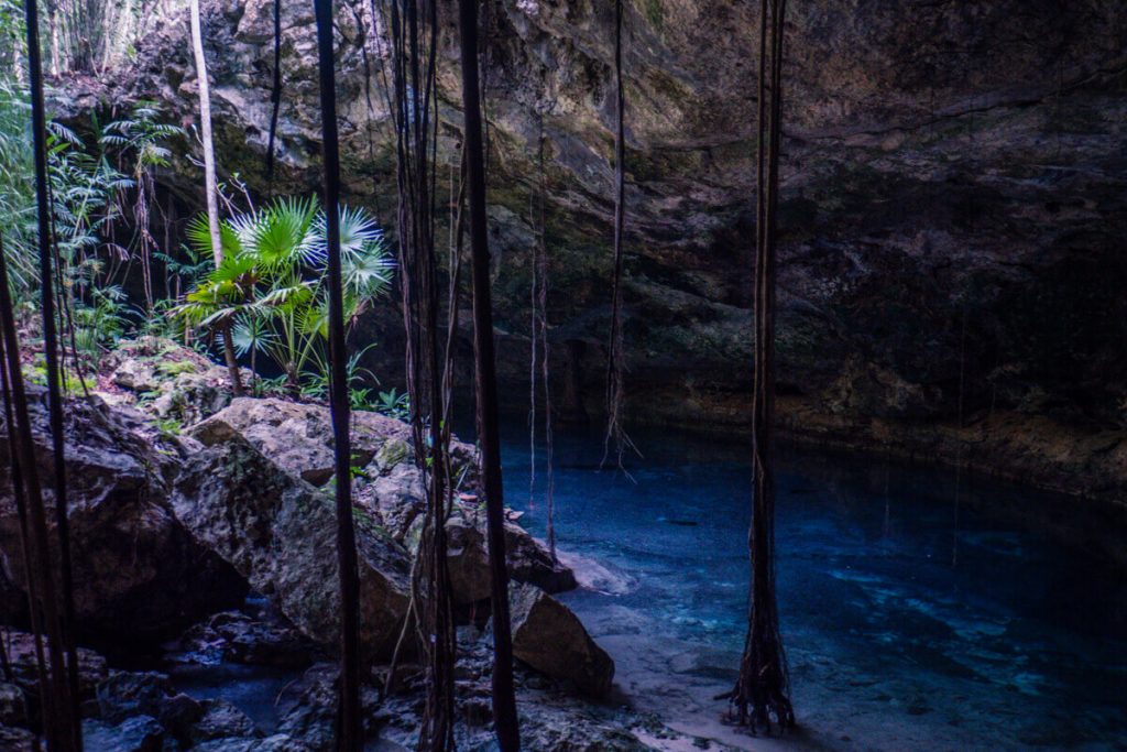 cenote tour playa del carmen