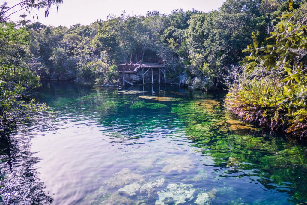 cenote tour playa del carmen