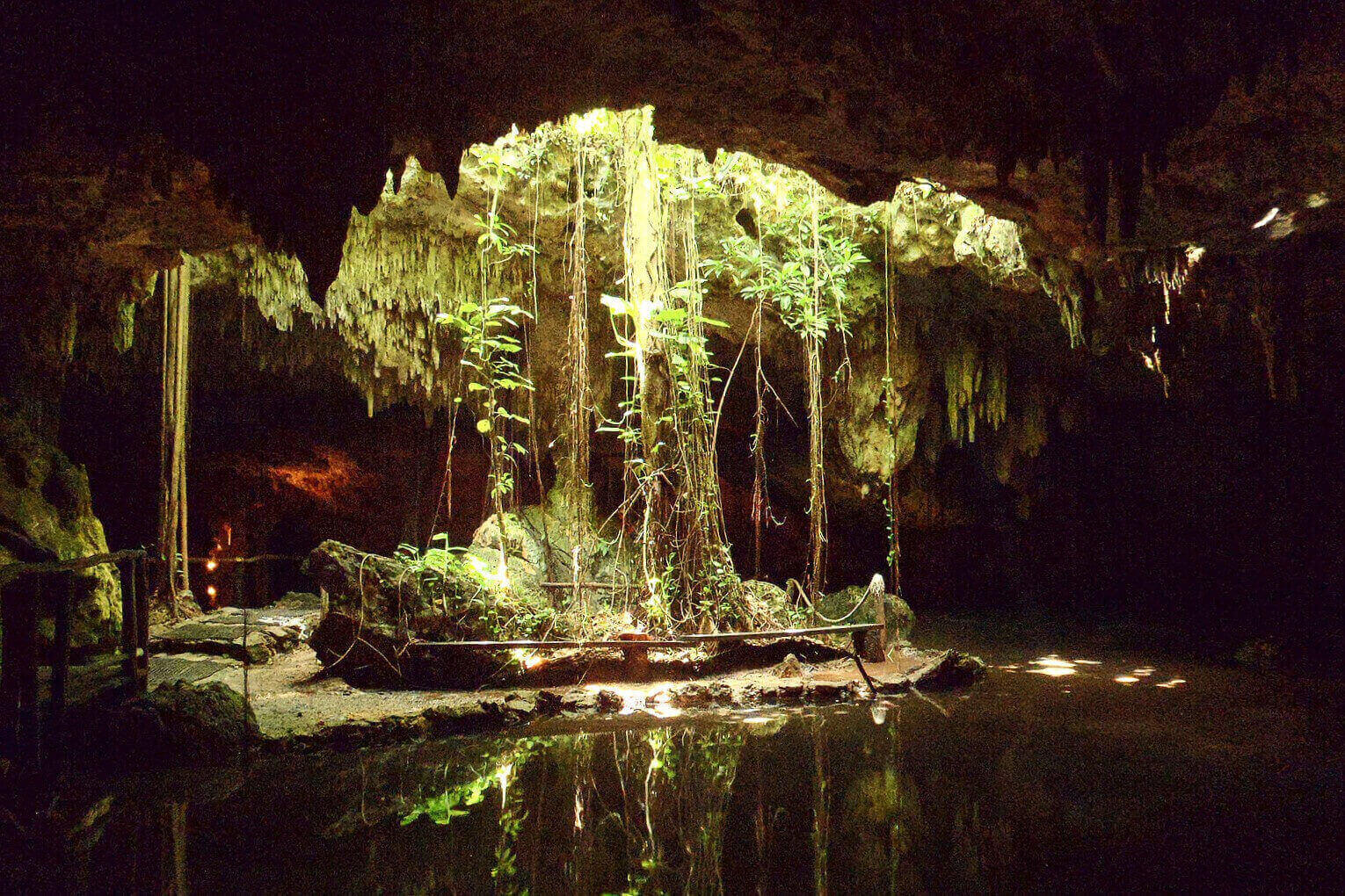 The Best Playa Del Carmen Cenotes to Discover 2022!